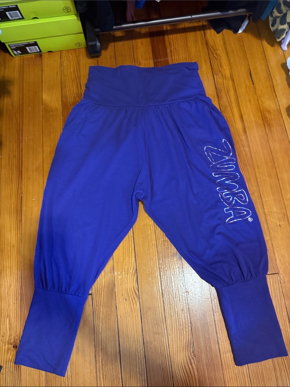Zumba Fitness Royal Purple Harem Leggings with ZUMBA Script